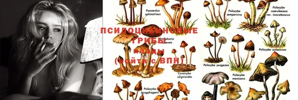 меф Нягань