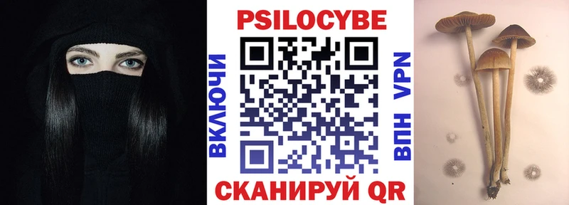 Псилоцибиновые грибы Psilocybe  MEGA   Чита 