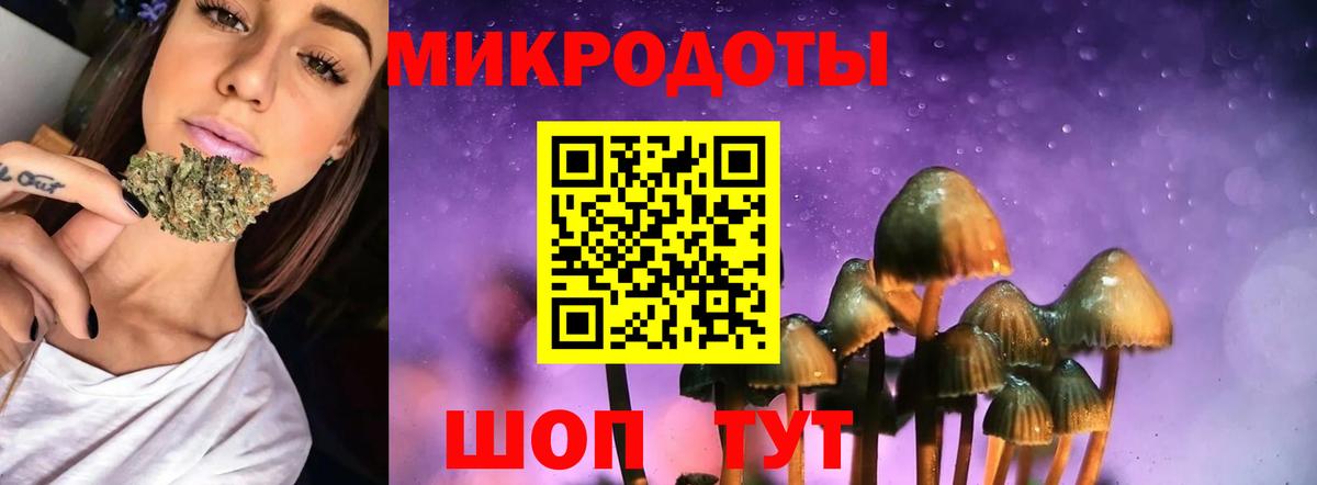 Галлюциногенные грибы мицелий Чита