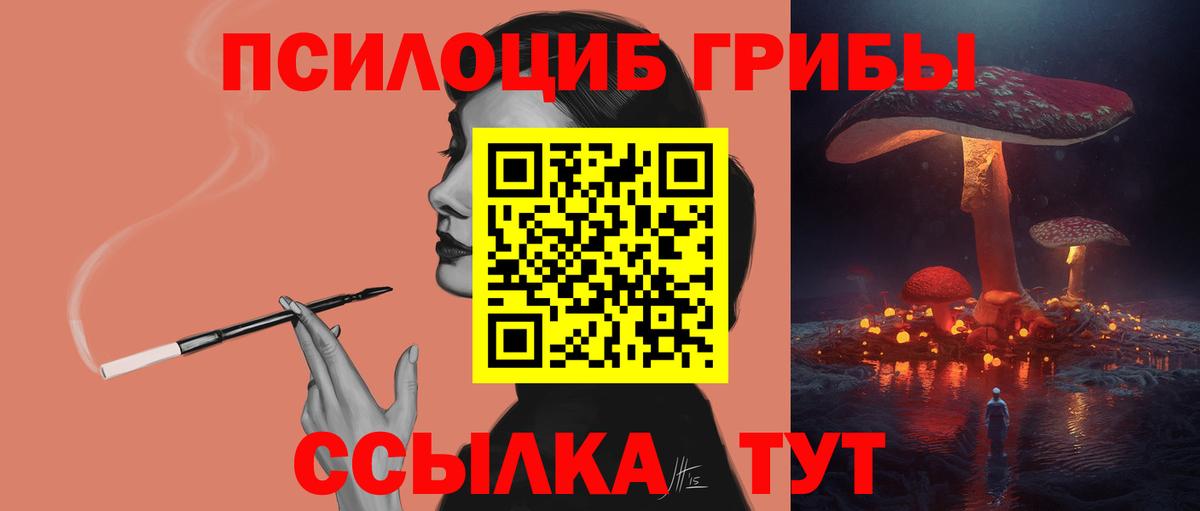 Чита  Галлюциногенные грибы GOLDEN TEACHER  магазин  наркотиков  Галлюциногенные грибы прущие грибы  Вход с VPN 